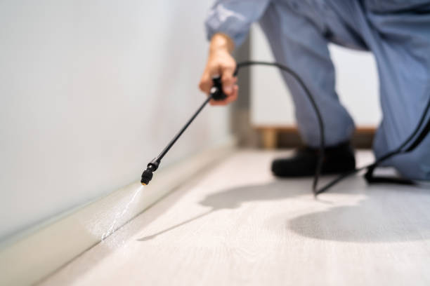 Licensed Pest Control service in St. Henry, OH - Show Me Pest Control